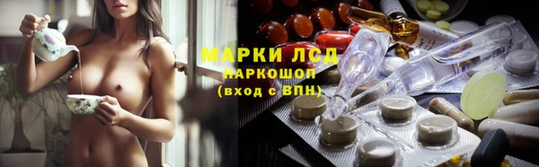 гидра Арсеньев