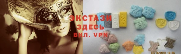 гидра Арсеньев