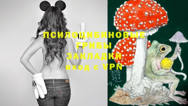 таблы Армянск