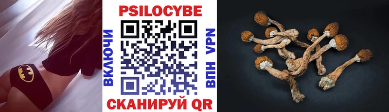 Купить закладки  Углич  Псилоцибиновые грибы Cubensis 